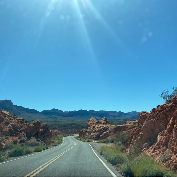 Meet your Posher, Ashton - Picture 2 of 4